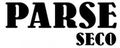 PARSE SECO Artist Residency