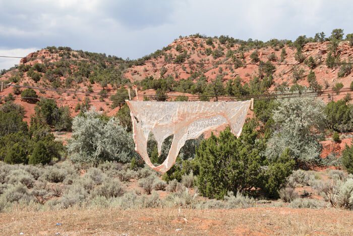 Raphael Begay, Hung to Dry