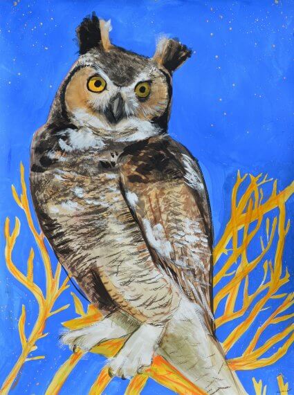 Kat Kinnick, Our Neighborhood Great Horned Owl