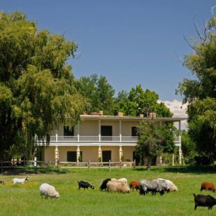 Los Luceros Historic Property