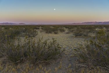 Kim Stringfellow Reckons with Human Impact on the Desert in The Mojave ...