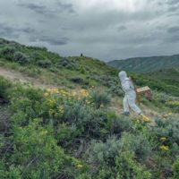 Beth Krensky, Dispatch from Solitude #1: Walking the Unknown Path, 2020