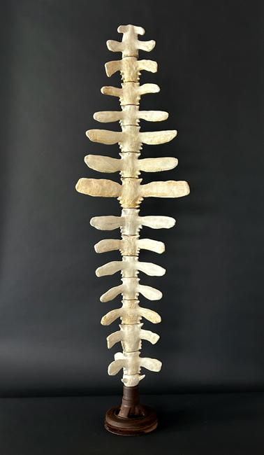 Elaine Parks, Bone Stack, sculpture mimicking a spine 