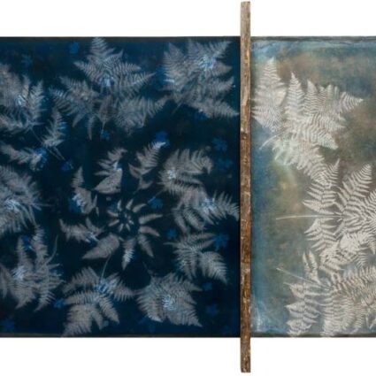 Cyanotype artwork of an arrangement of ferns in a Golden Ratio spiral made with foraged natural dyes, and a wood bar intersecting a third of the composition.