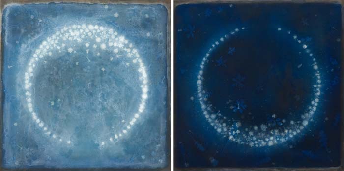 Cyanotype diptych with foraged natural dyes and pigments with small flowers in a circle arrangement.