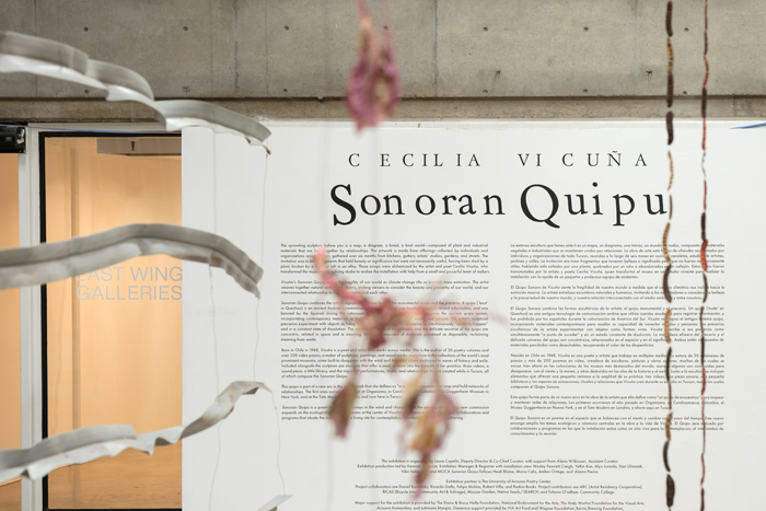 Cecilia Vicuña: Sonoran Quipu exhibition text