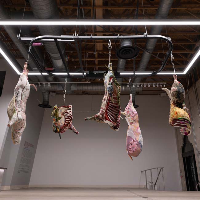 Mesmerizing Flesh installation by Tamara Kostianovsky with mounting track