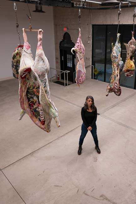 Mesmerizing Flesh installation by Tamara Kostianovsky overhead view