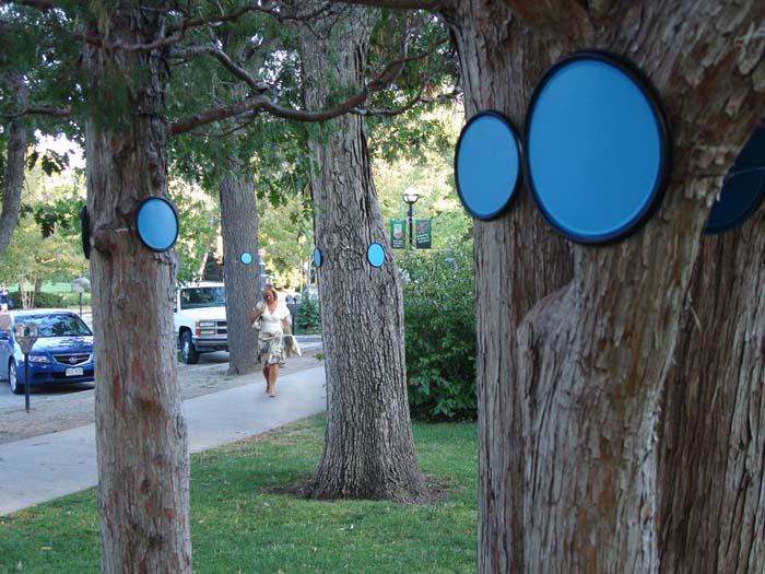 View of a road in Boulder, Colorado, with blue dots affixed to the trees, indicating potential flood levels.