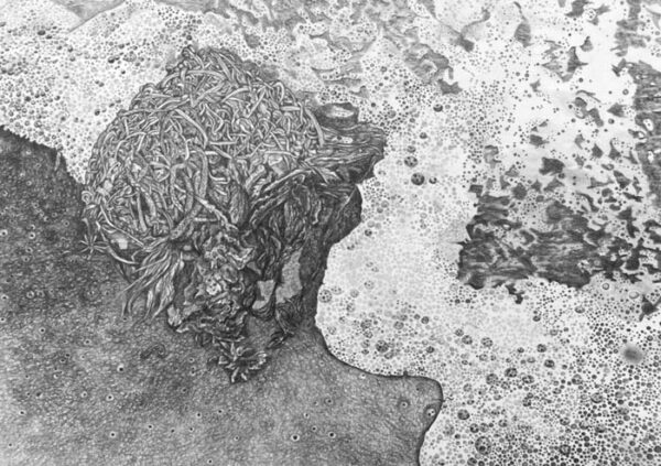In Perplexities, Cedra Wood and Nina Elder Acknowledge Complexity and ...