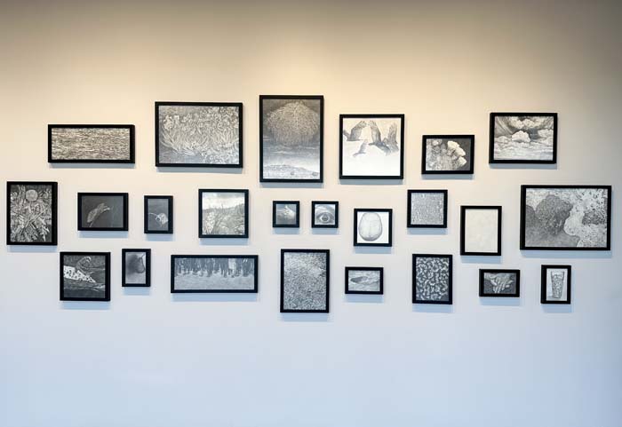 Salon hanging of various graphite drawings by Nina Elder in the exhibition Perplexities at Pie Projects in Santa Fe.