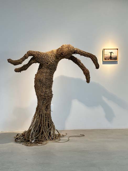Installation view in the exhibition Perplexities of Cedra Wood's sculpture of rope on steel armature with a painting of the sculpture behind it.