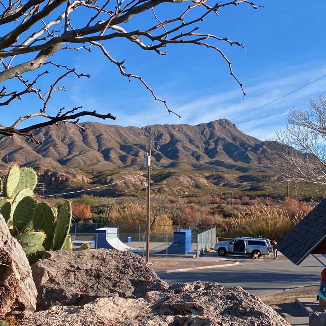 A leafless tree, prickly pear cactus and rocks in the foreground, a skate park with blue vert ramp and Turtleback Mountain in the background