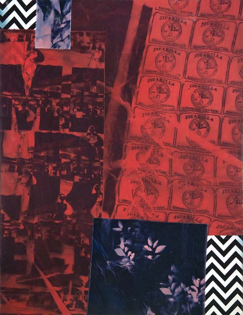 Collage of cyanotype and fabric with primarily blocks of red