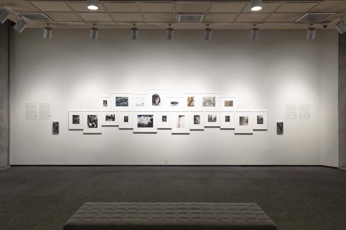 Installation view of Sessions on Creative Photography: Hazel Larsen Archer, with multiple framed photographic prints arranged in a cluster on the wall.
