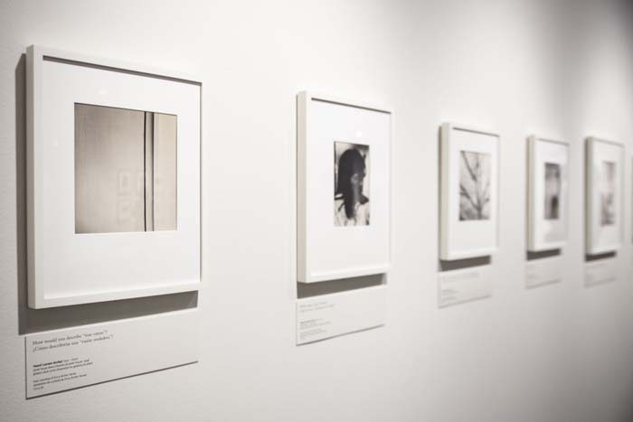Installation view of Sessions on Creative Photography: Hazel Larsen Archer, with a line of framed black and white prints on a wall with text panels below each.