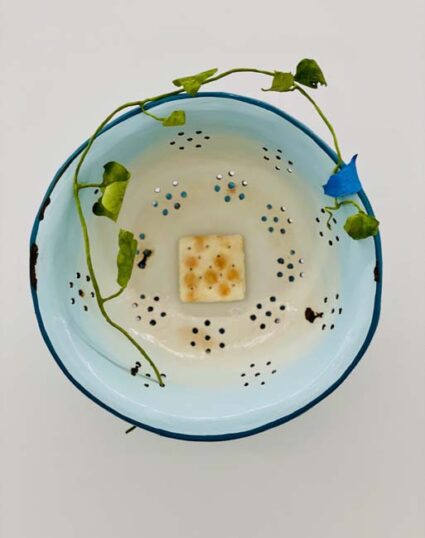 A white colander with blue edging with a saltine cracker lying in the center and a green vine affixed with blue painters tape around it.
