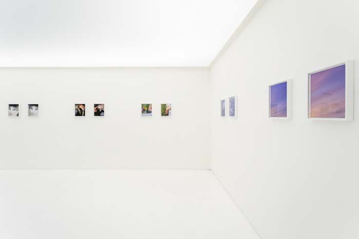 Installation view with several pairs of similar photographs evenly spaced on the wall.
