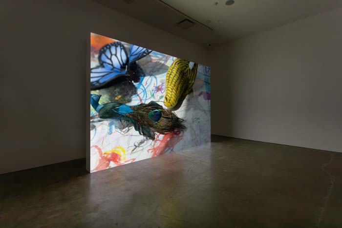 Installation view of a screen in a gallery showing a film still with assorted toys and objects, a blue butterfly, a yellow bird, and a peacock toy with real feather. 