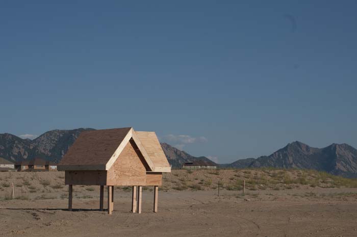 A wooden house-like structure on stilts in an open field, a site-specific installation that also serves as a component of an ecological survey of barn swallow nesting habits. 