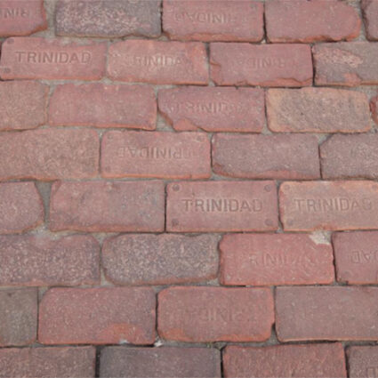 Wall of bricks with the word "Trinidad" on each.