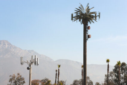 Cell phone tower disguised as a palm tree in Southern California.