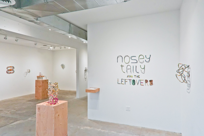 Jared Steffensen: Nosey Taily and the Leftover Review, installation view