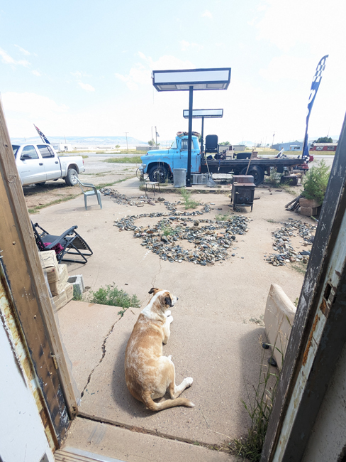 Byron T. Seeley's dog sits outside of Monk King Bird Pottery