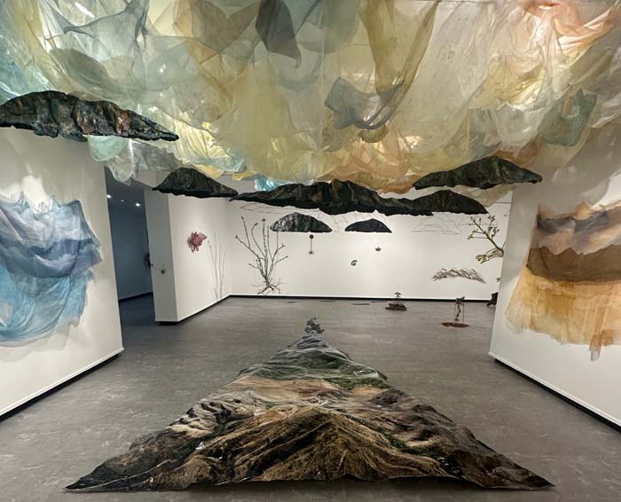 Installation view of Donna Zarbin-Byrne's Like Water from a Rock at Arts Fort Worth, with various multi-media artworks that emulate natural environments on the walls, laid on the ground and suspended from the ceiling.