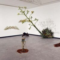 Installation view of multi-media artworks resembling natural forms, including a large sculpture of an blooming century plant vaulting out at a slant from the wall into the gallery.