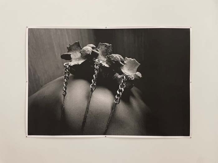 A black-and-white photograph with three large vertebrae chained to a mound of flesh.