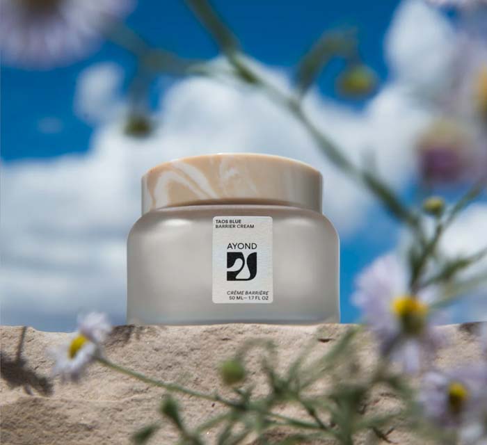 Southwest Gift Guide 2023: Pot of Ayond skin care cream sitting on a stone block with out of focus daisies around it and a blue sky with puffy clouds in the background.
