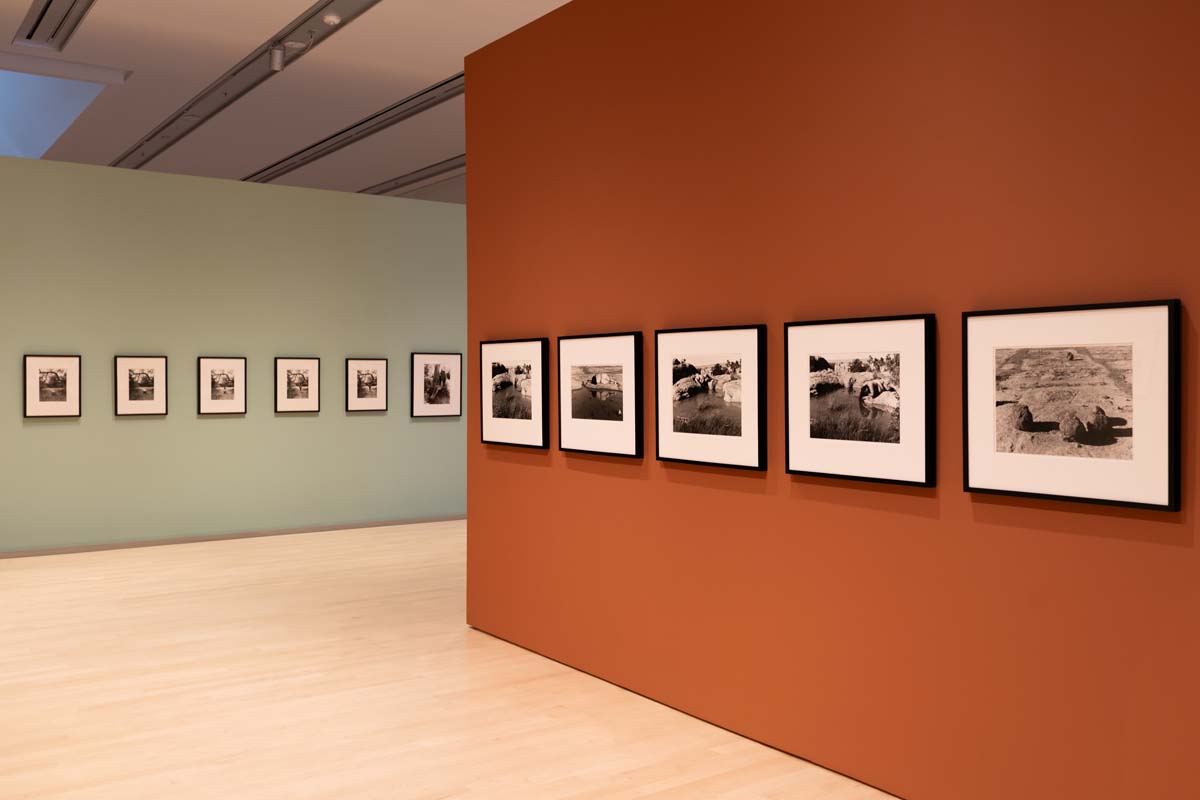 Installation view of Laura Aguilar: Nudes in Nature with a row of framed black and white photographs on a reddish-brown wall, and on a light green wall.