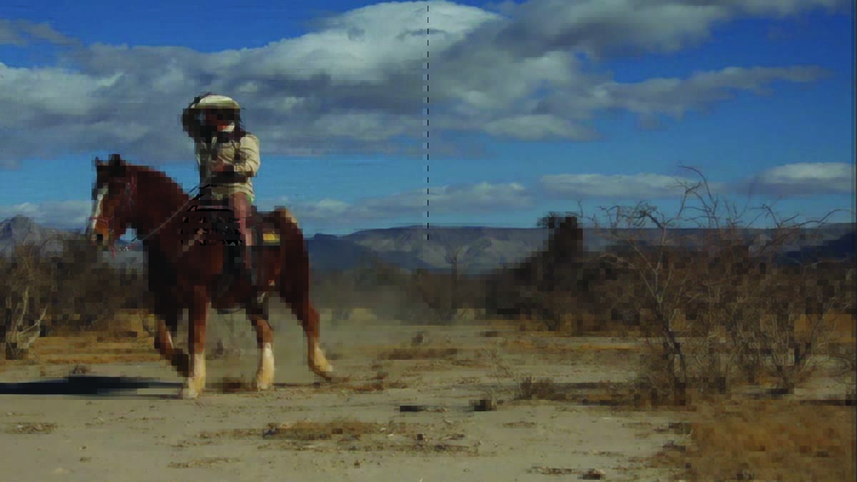 Artist Brent Holmes riding a brown horse through a desert landscape in Nevada.