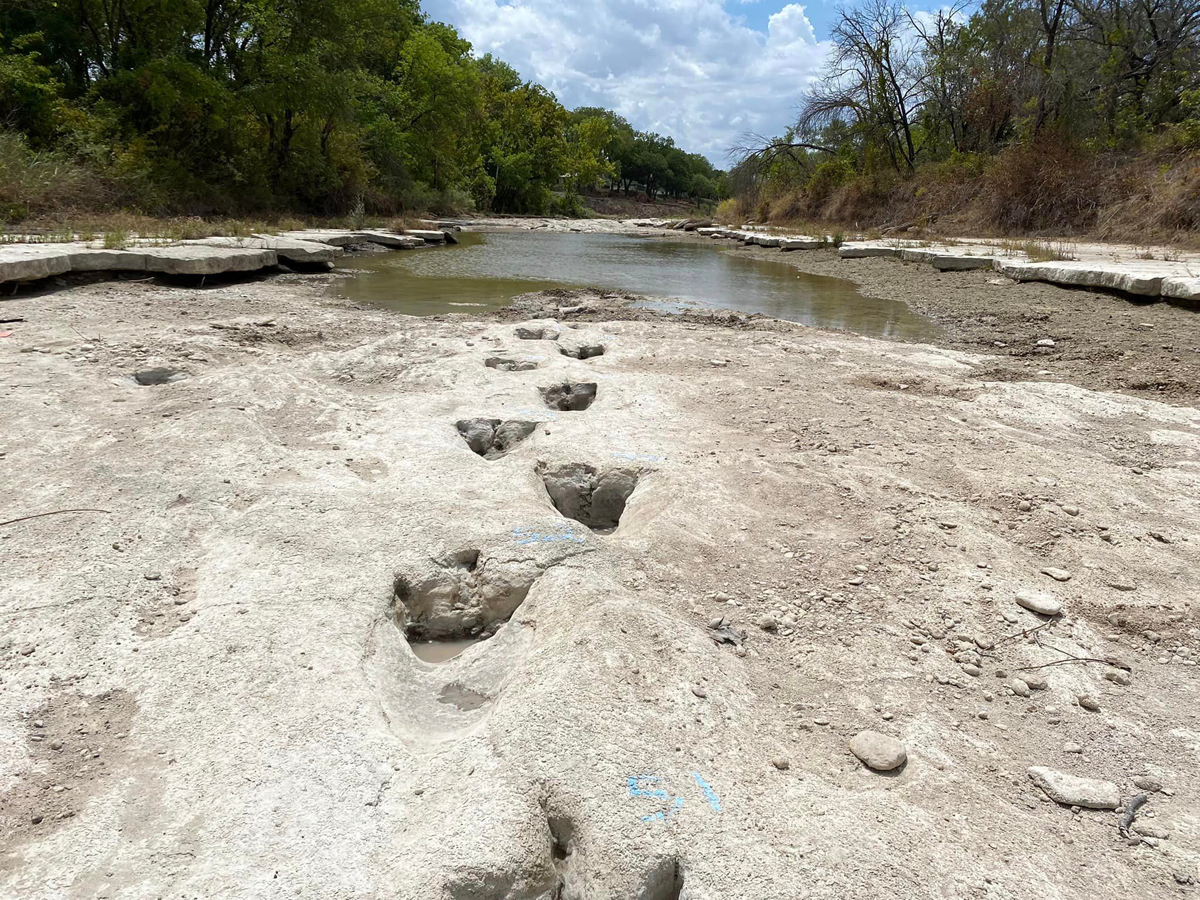 Dinosaur tracks in Texas