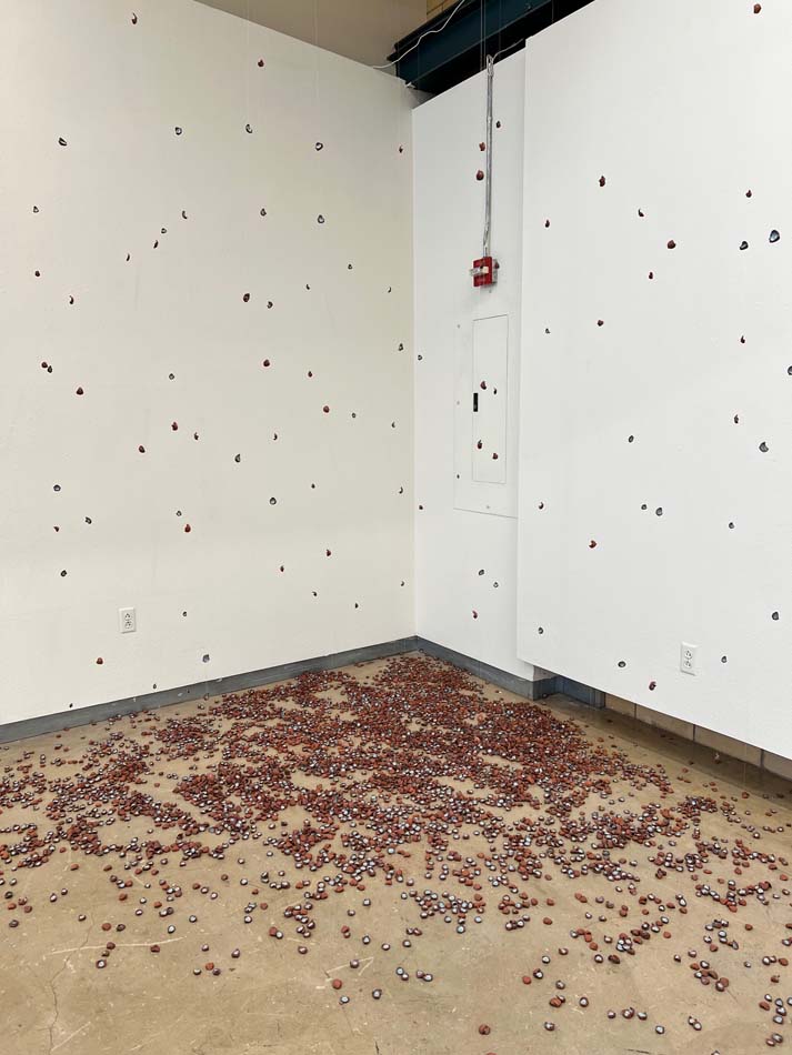 Installation of hundreds of small fired clay pieces, scattered on the floor and also suspended in the air with transparent thread.