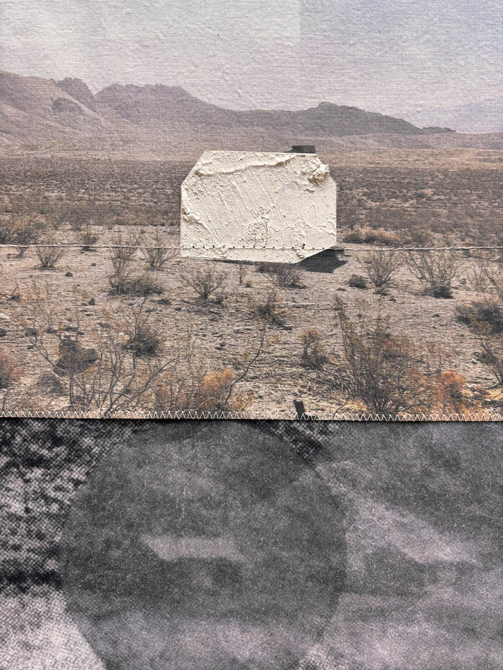 A Nick Larsen work includes latex and dye-printed fabric depicting a desert landscape