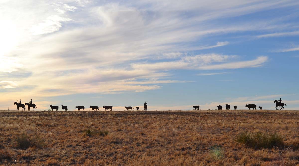 Steel silhouettes of a cattle drive on the plains, located in Jal, New Mexico.
