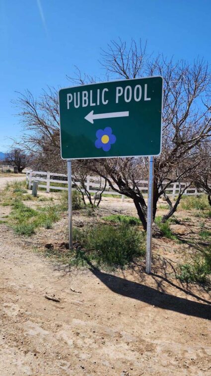 Green sign saying Public pool with an arrow and a flower.