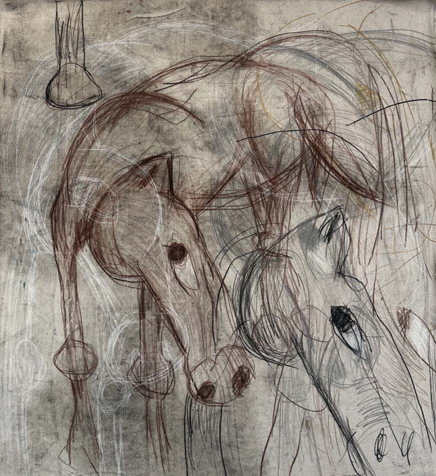 Sketches of horses with long noses.