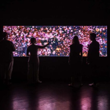 A dark gallery with visitors viewing a wide screen with pink and purple flower animation by teamLab.