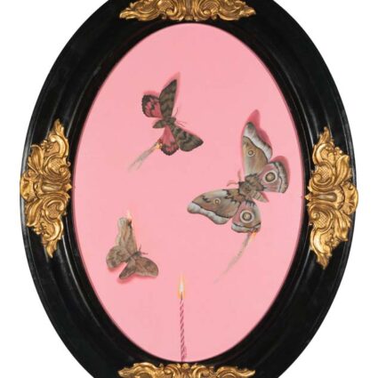 Painting of a single candle and three butterflies with their wings on fire with a flat pink background, in an oval frame.