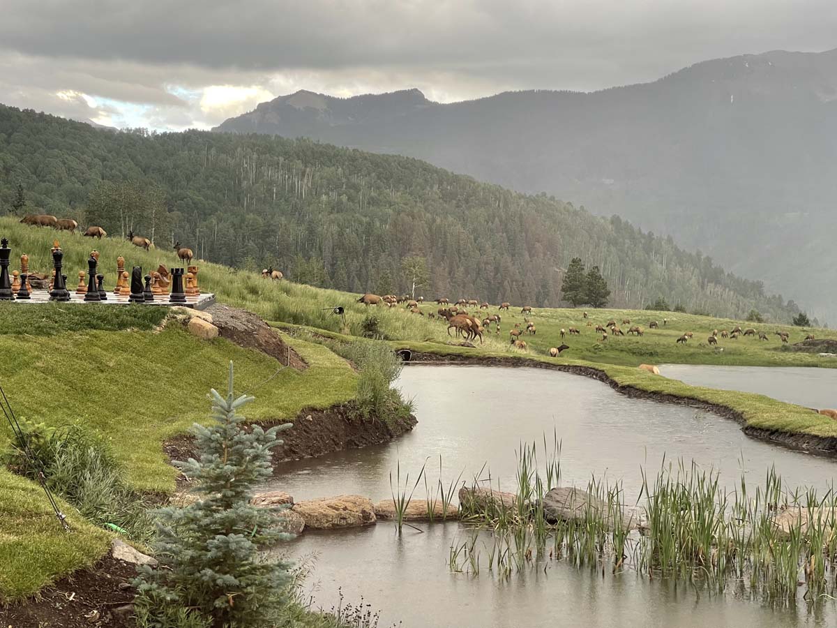 Mountains in Telluride with a herd of elk and oversized chess set.