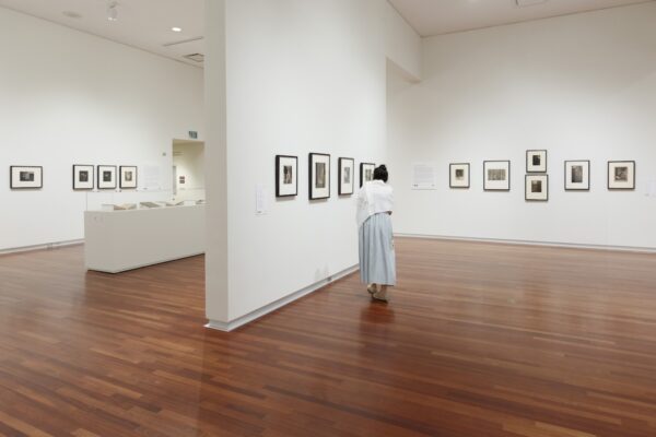 Umfa Concurrent Exhibitions at UMFA Link Disciplines