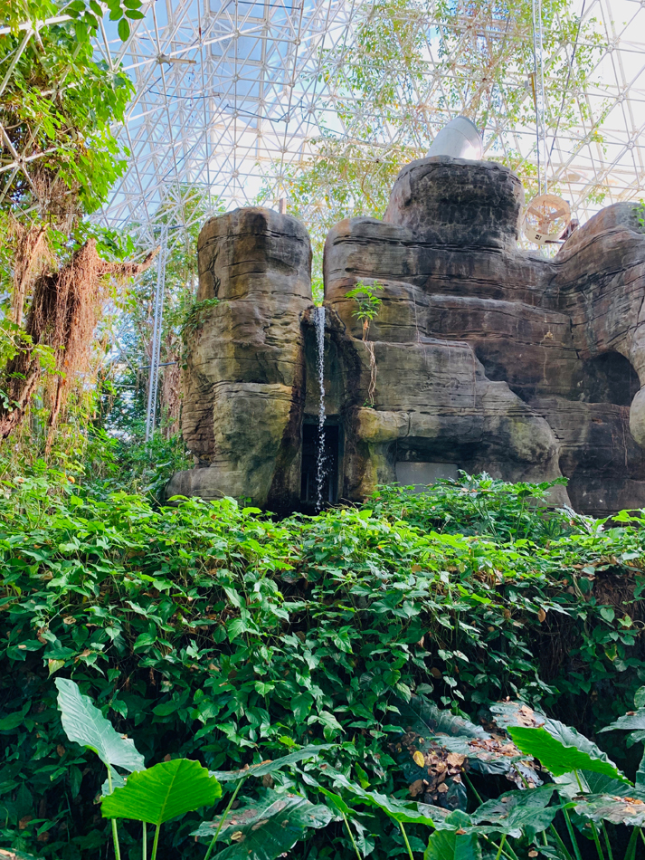 A manmade rocky outcropping in the forest biome of Biosphere 2.