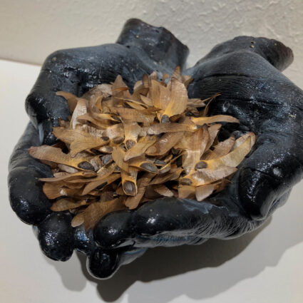 A sculpture of hands made from black pine pitch, cradling ponderosa pine seeds.