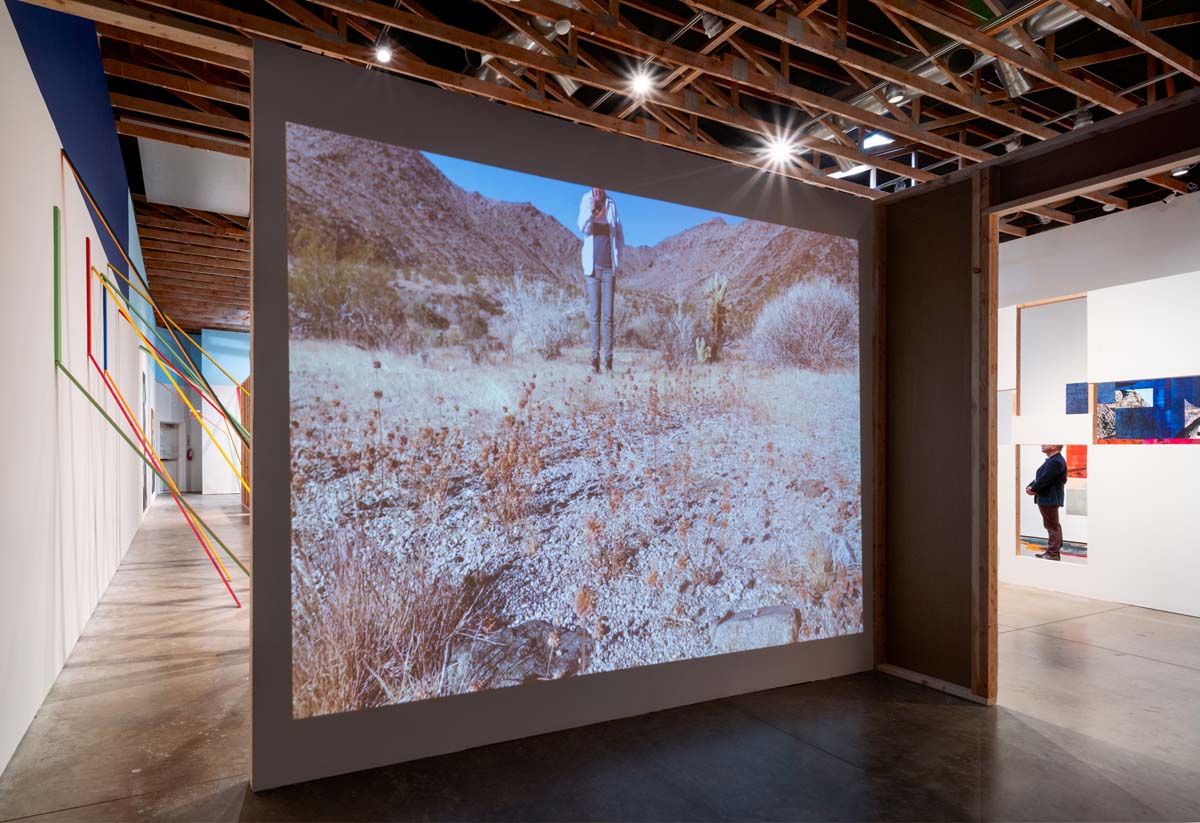 Installation view of video by Cybele Lyle, Walking from the Inside Out, in which dried seed heads and grasses wave in the breeze.