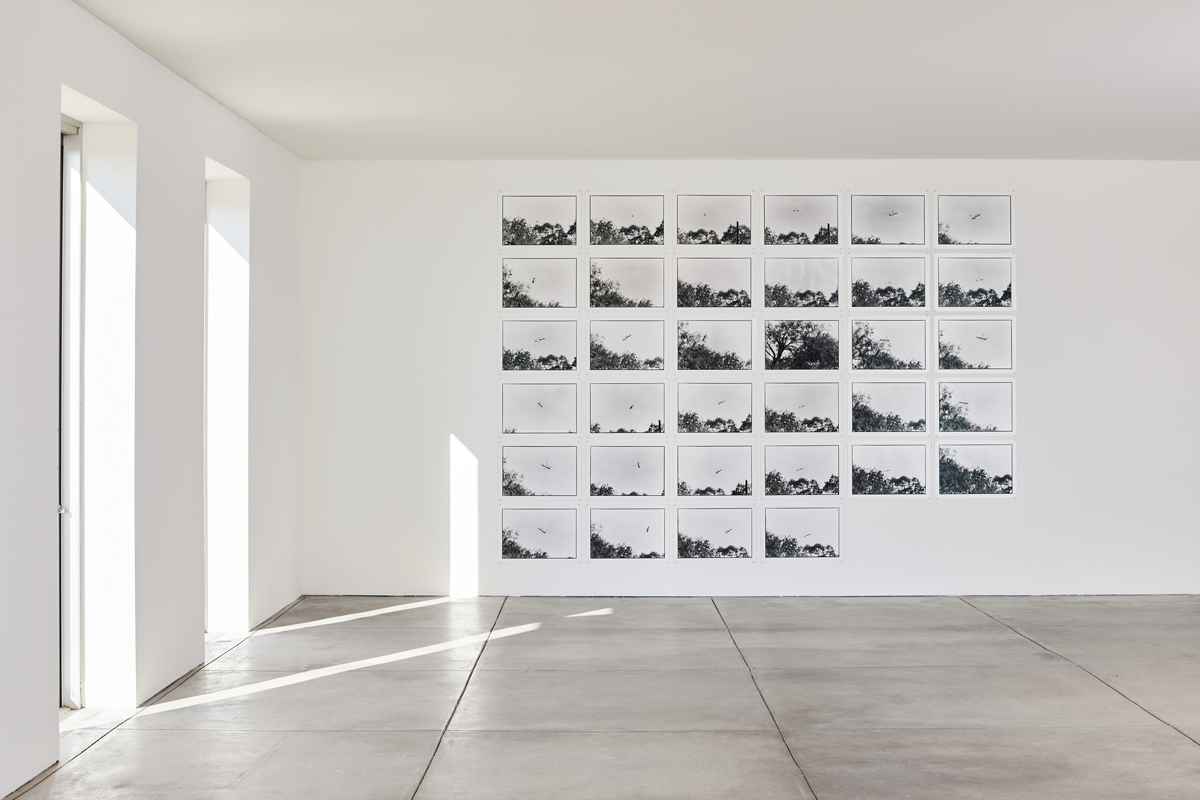 Installation view of photography show in a museum space. Zoe Leonard's Al rio/To the River series is on view at The Chinati Foundation in Marfa, Texas.