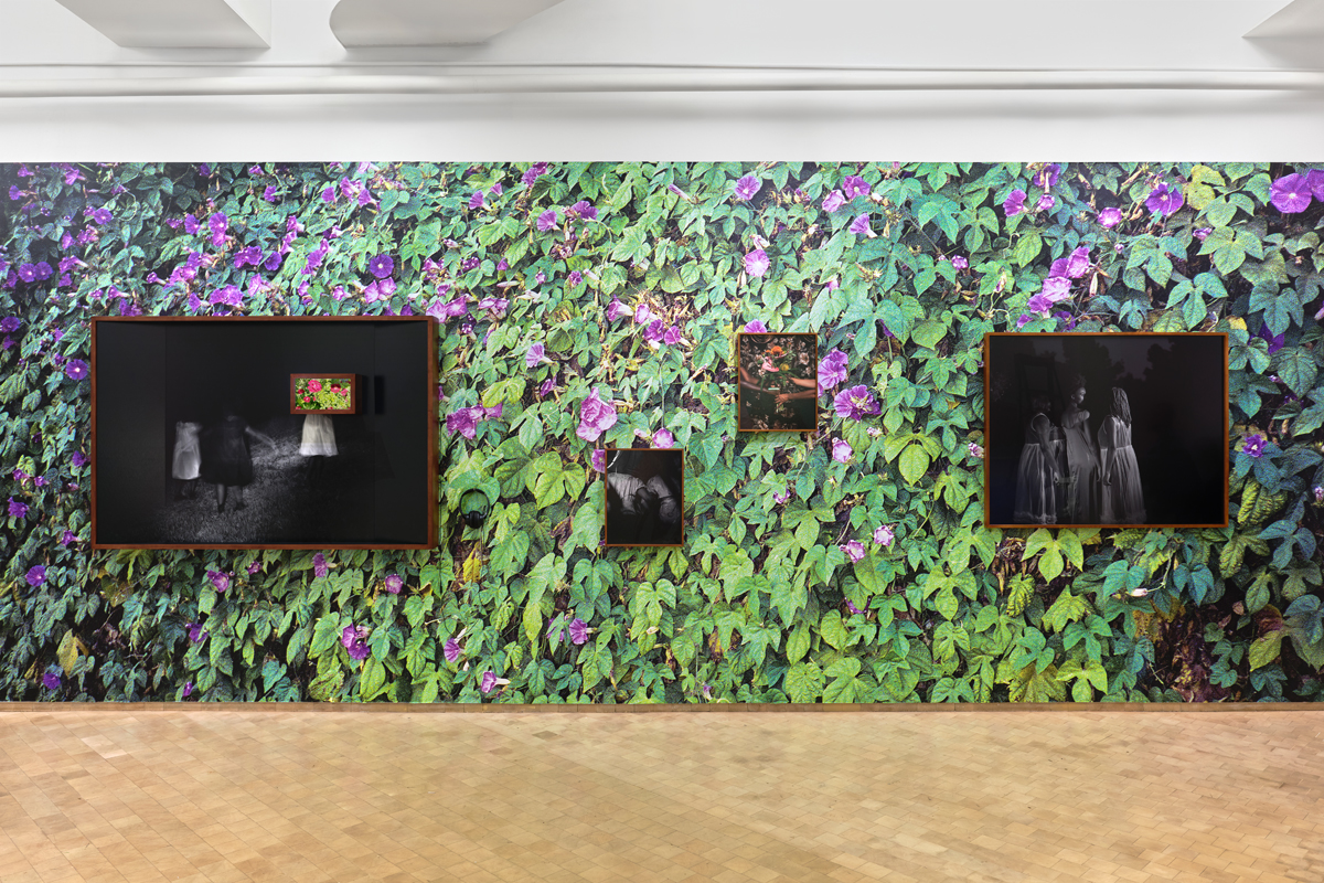 Installation view of mixed media wall artworks with a lush, floral backdrop. Curated by Maria Elena Ortiz.