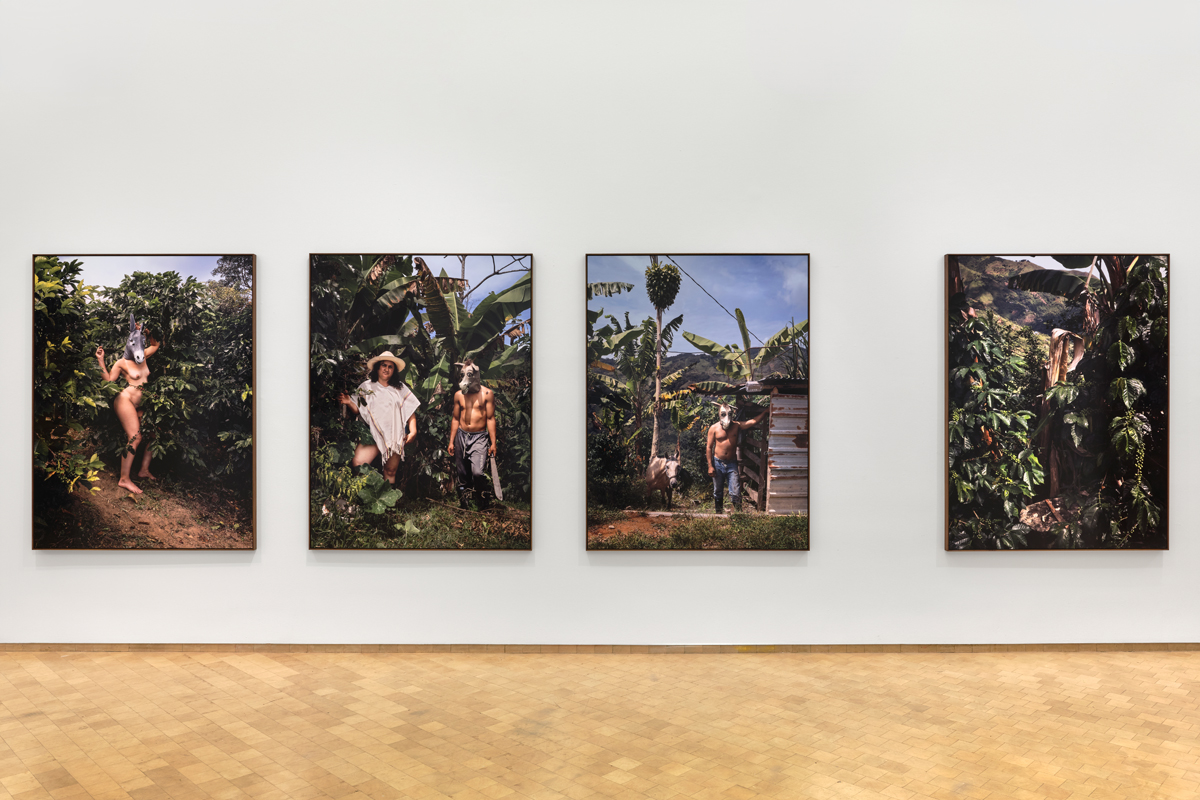 Multiple photographic portraits of people in a jungle landscape. Curated by Maria Elena Ortiz.